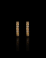 Auksiniai auskarai su deimantais "Micro Windows"