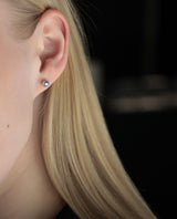 Auksiniai auskarai su Taičio perlais