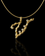 Auksinis pakabukas su deimantais "V"