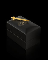 Sidabrinis paauksuotas kaklaraiščio segtukas "LFF"