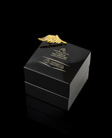 Sidabrinis paauksuotas ženkliukas "Plunksna"