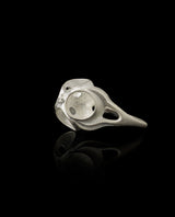 Sidabrinis žiedas "Karališkas"