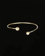 Sidabrinė paauksuota apyrankė "2 pienės"