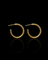 Auksiniai auskarai "Hoops"
