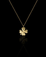 Auksinis dvipusis pakabukas "Nešu sėkmę"