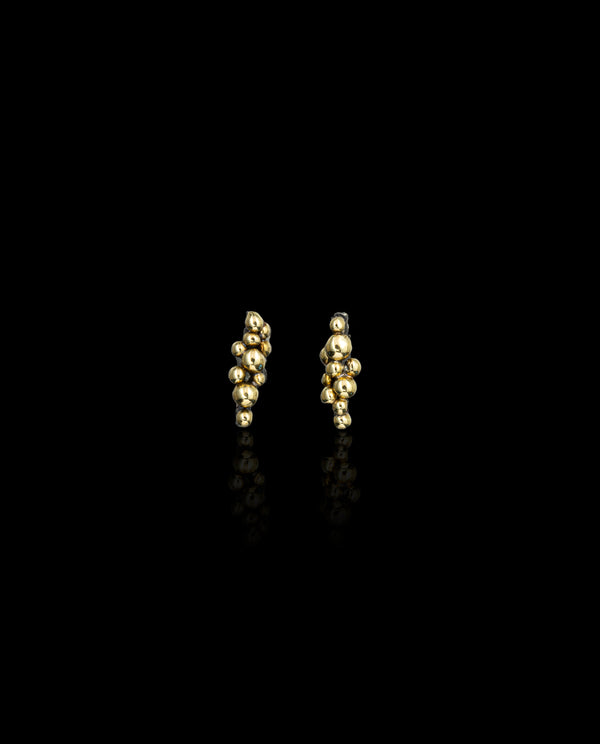 Sidabriniai auskarai su auksu "Dark Gleam Earrings"