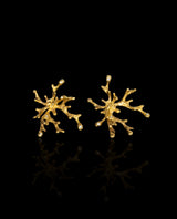 Sidabriniai paauksuoti auskarai su deimantais "Koralų augimas"