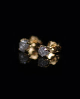 Sidabriniai paauksuoti auskarai su neapdorotais deimantais