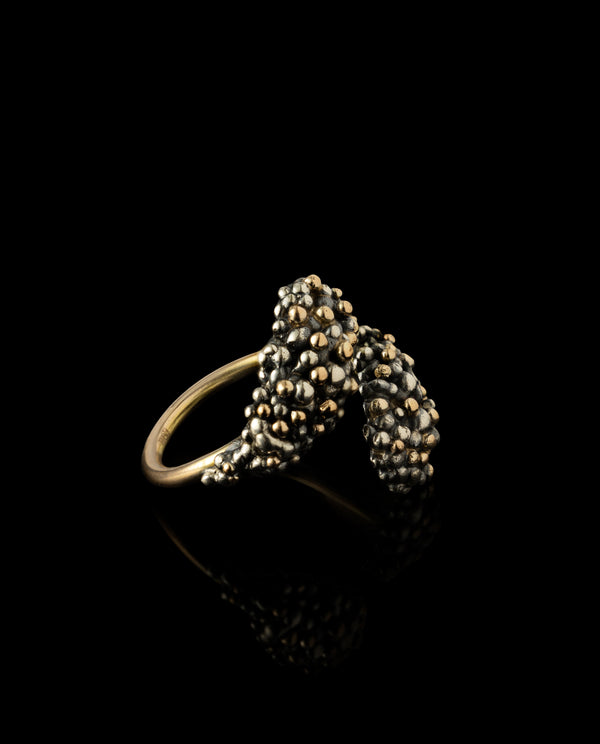 Sidabrinis žiedas su auksu "Įspūdžiai po žvaigždėtos nakties"