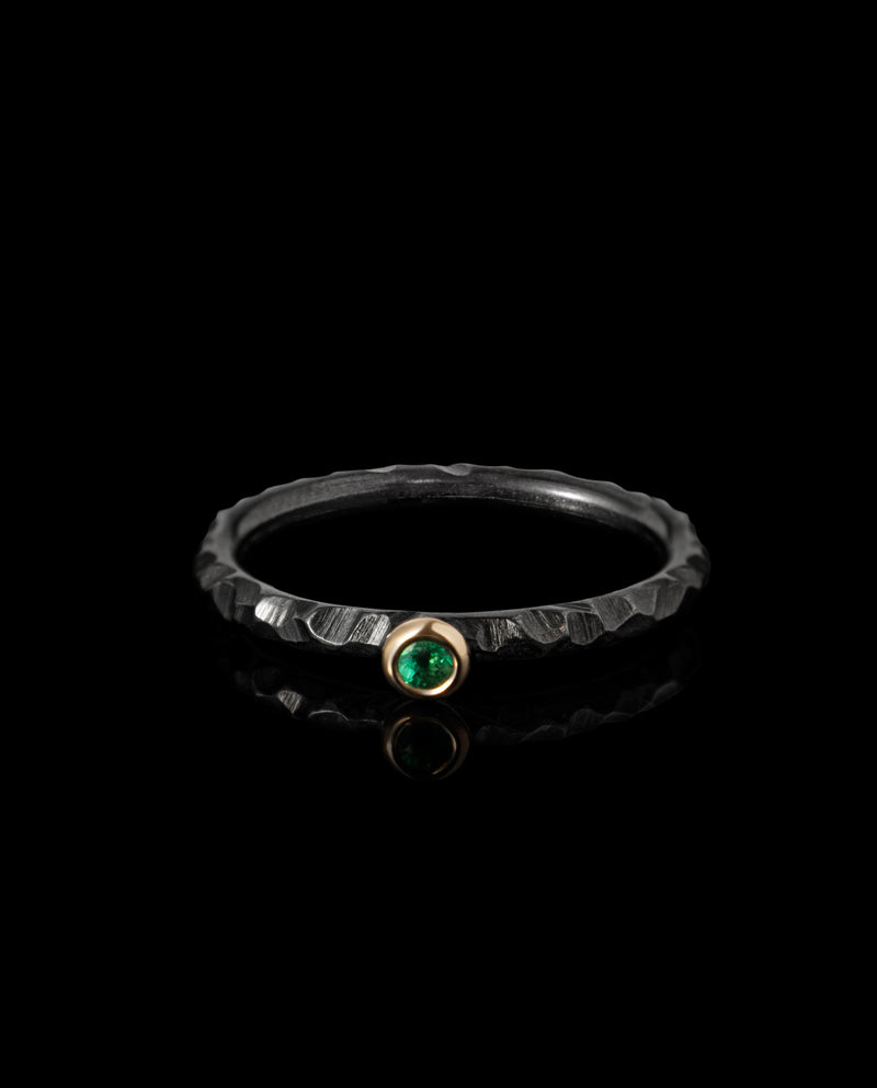 Titano žiedas su auksu ir smaragdu