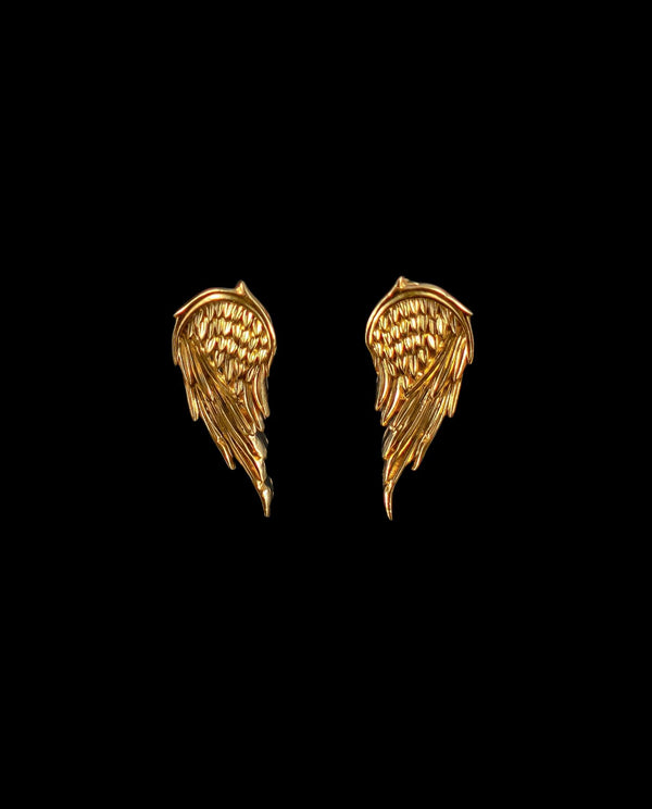 Auksiniai auskarai "Sparnai"