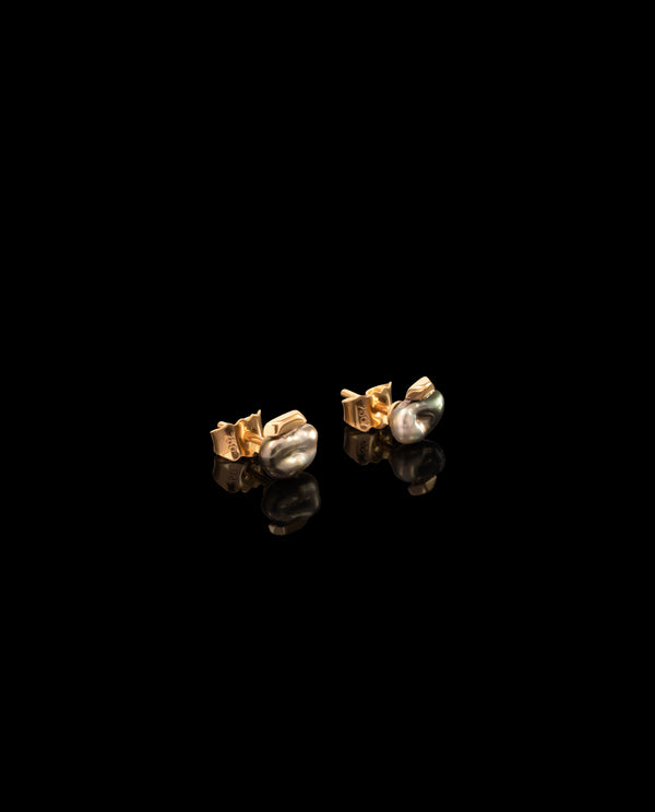 Auksiniai auskarai su Taičio perlais