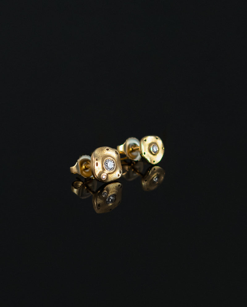 Auksiniai auskarai su deimantais "Flora"
